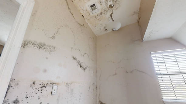 Best Commercial Mold Inspection  in , OR