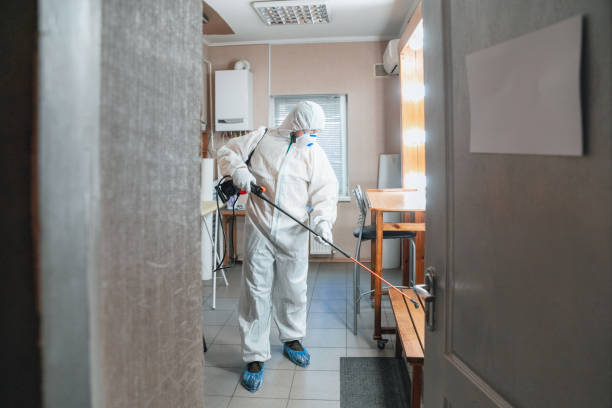 Best Water Damage & Mold Remediation  in , OR