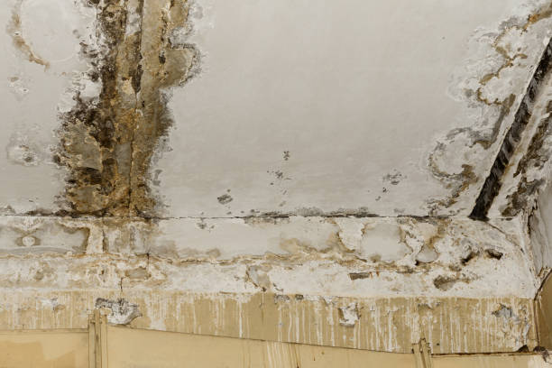 Best Indoor Air Quality Assessment  in , OR