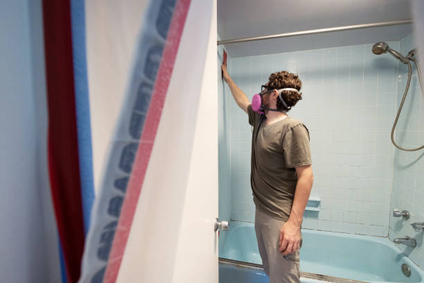 Best Mold Odor Removal Services  in , OR
