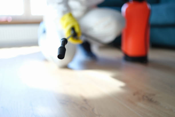 Best Black Mold Removal  in , OR