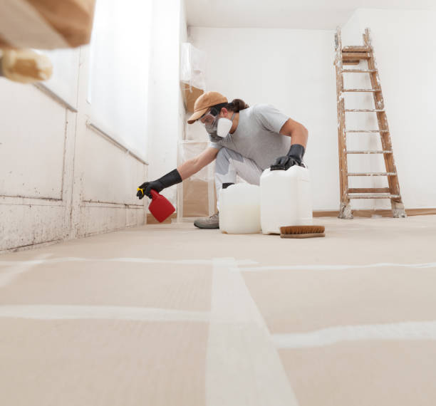 Best Mold Remediation for Healthcare Facilities  in , OR